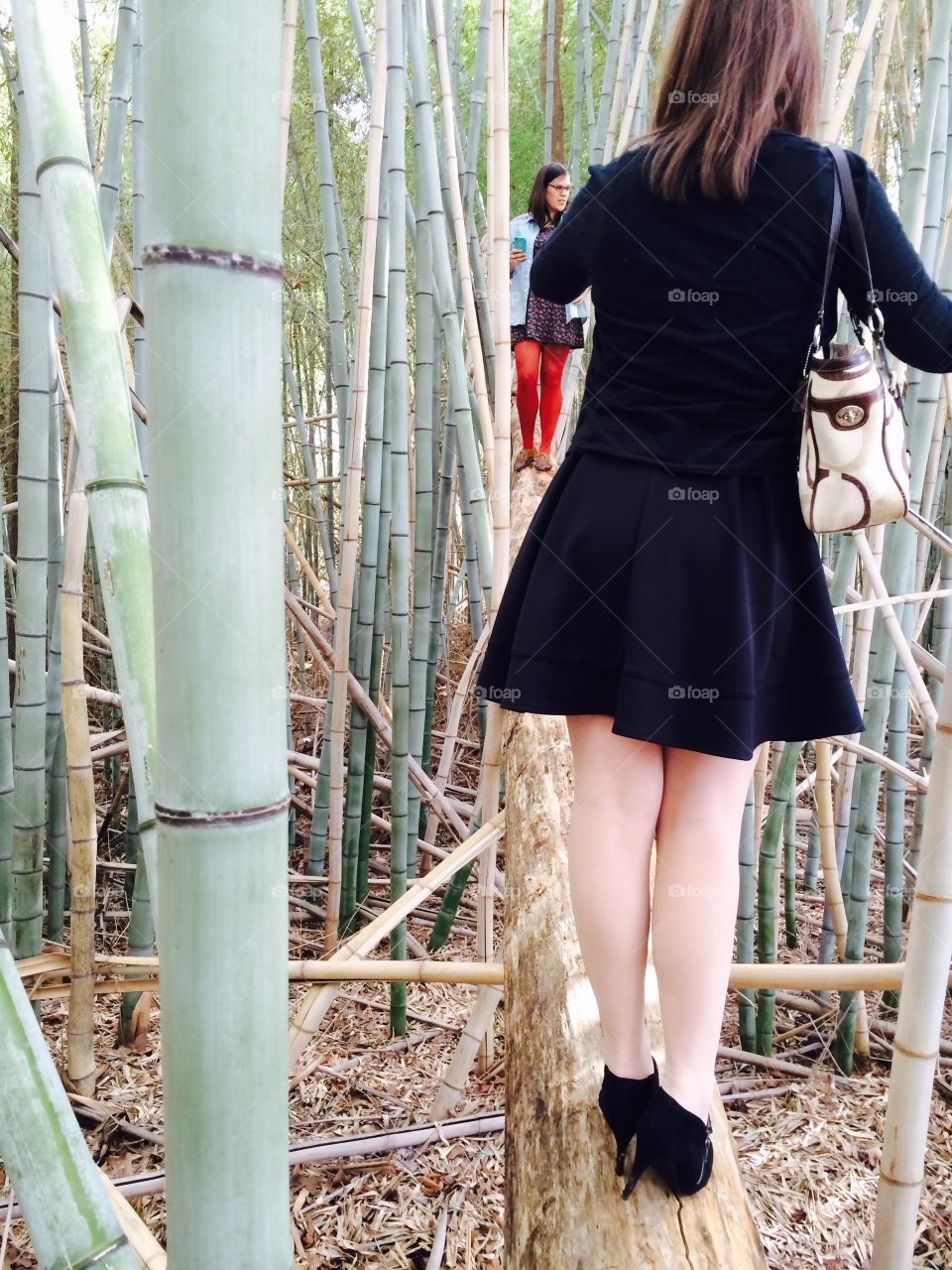 Bamboo walk