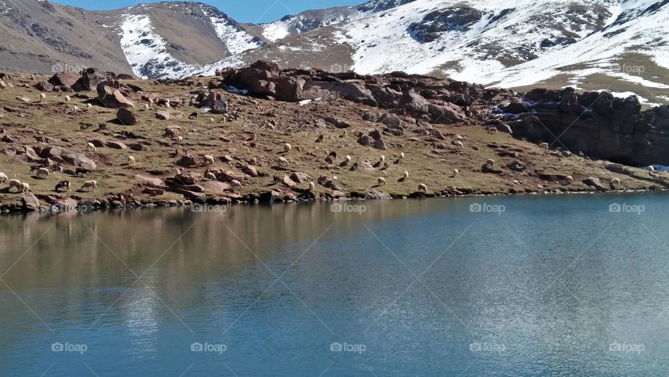 beautiful mountains coverd by snow .