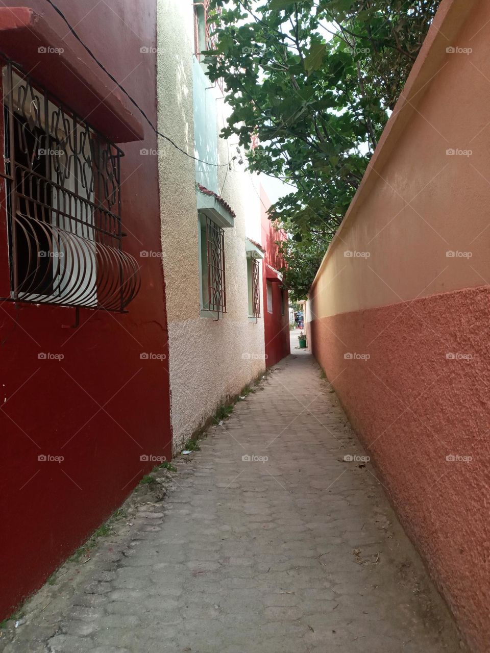 Alley