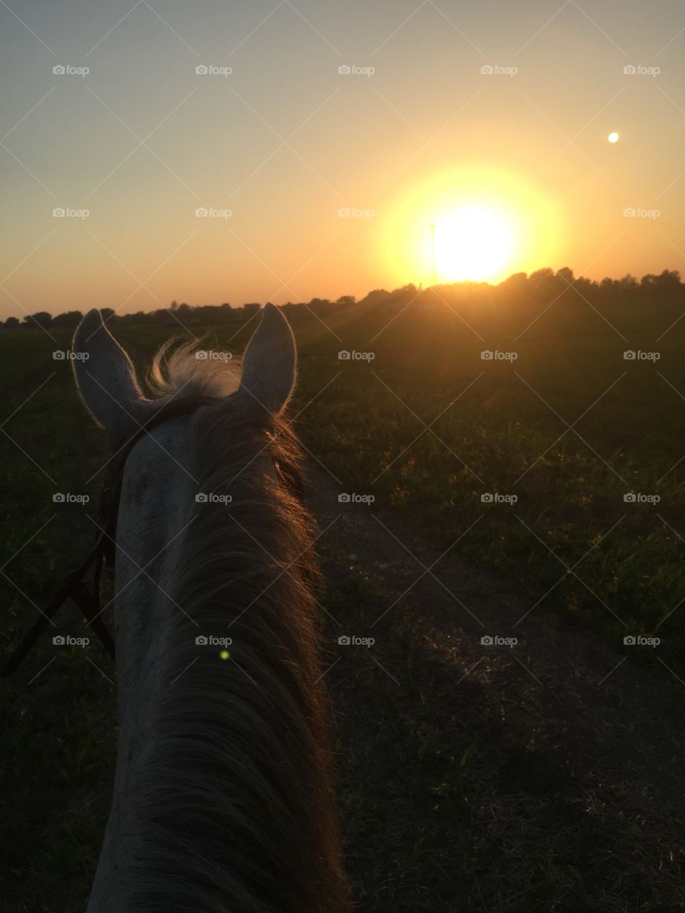 Horseback riding at sunset