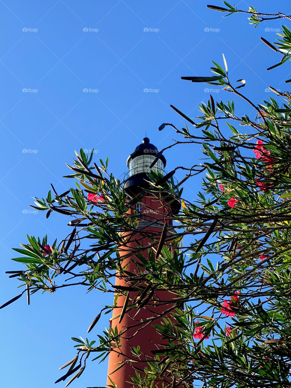 Ponce Inlet lighthouse Basking in the evening sun