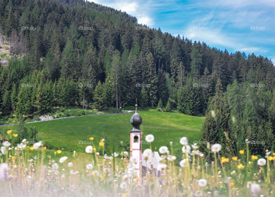 A Chapel among dandelions against fields and forests