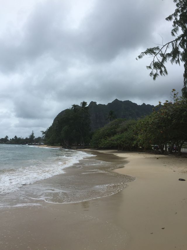 Beach day
