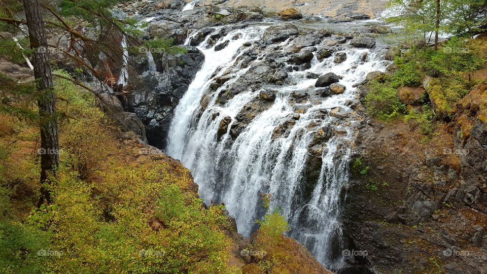 Water in Motion