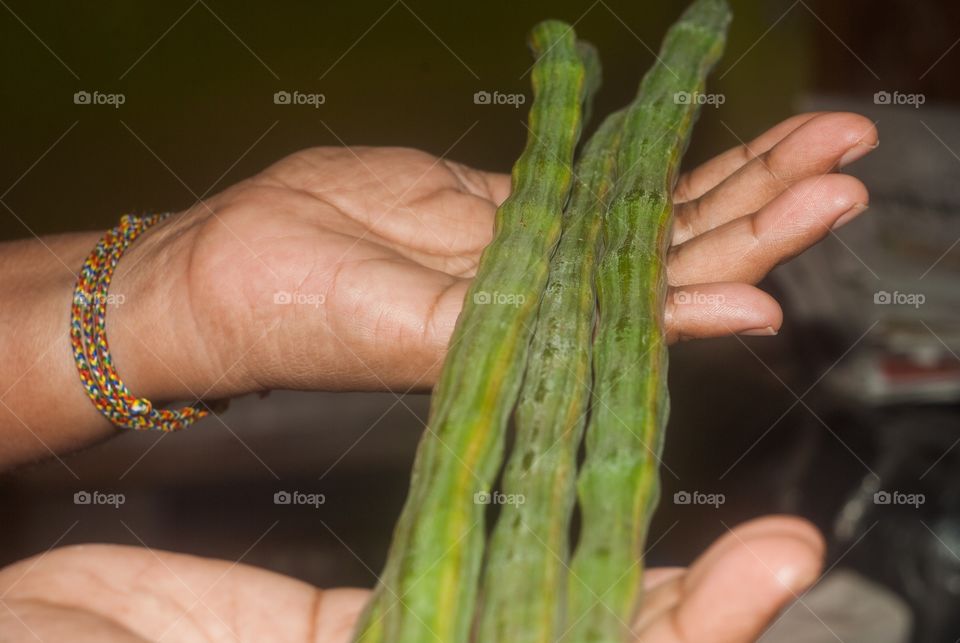 holding food 