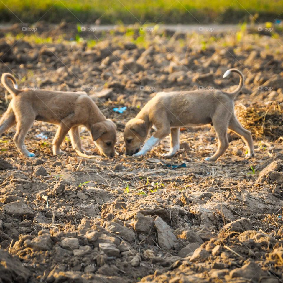 nature pictures  click by @divy.gahelot