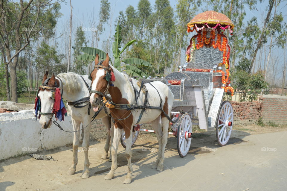 Decorative rickshaw of marriage it is a best option for pleasure.
