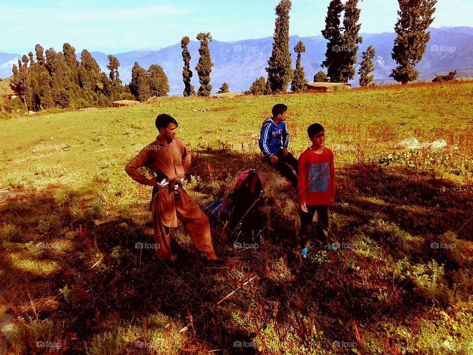 meadows at the top of mountain