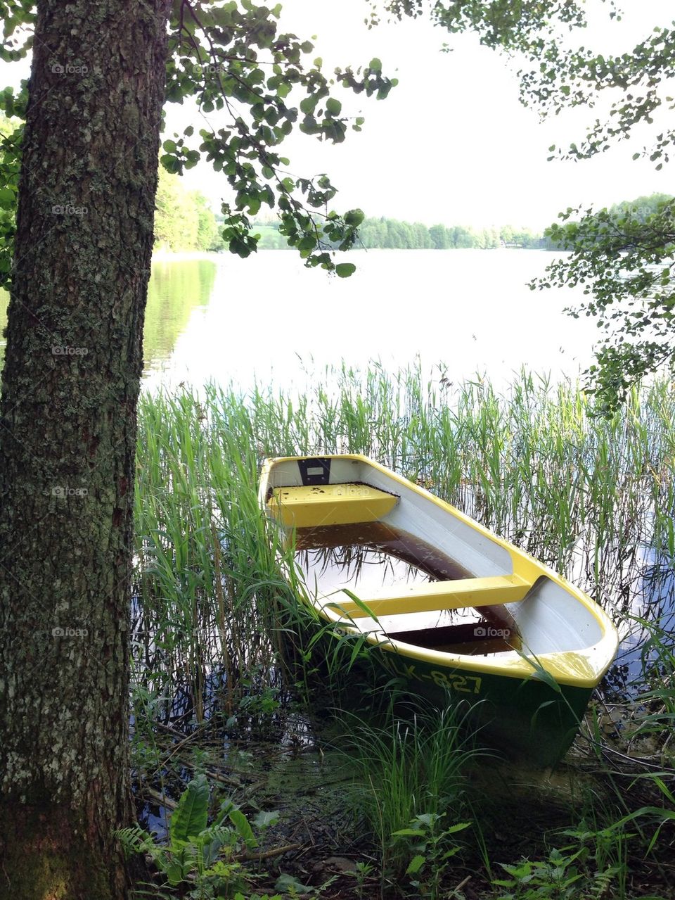 Boat on the shore of Lake Pühajärve, Estonia