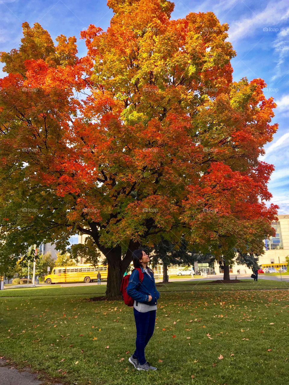 Autumn, colour change and schooling. Autumn is the beginning of new term for school. The sign of colourful leaf makes students enjoying their school life! :)