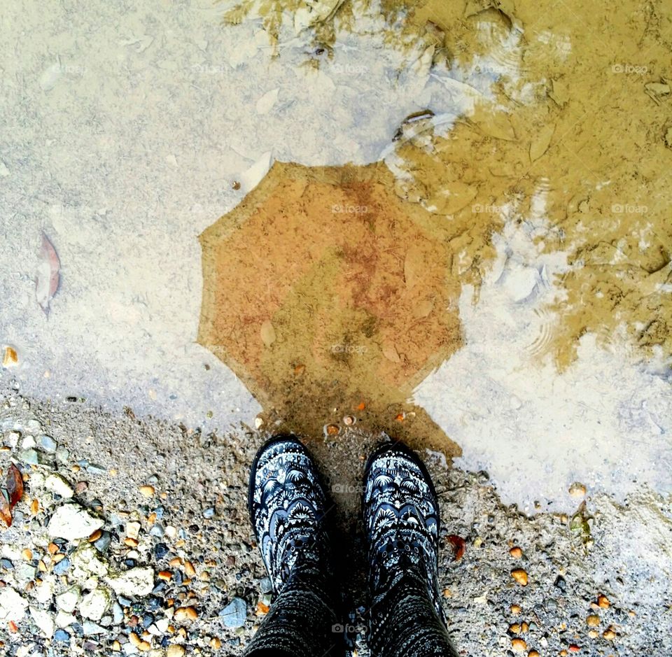 Rain Puddle