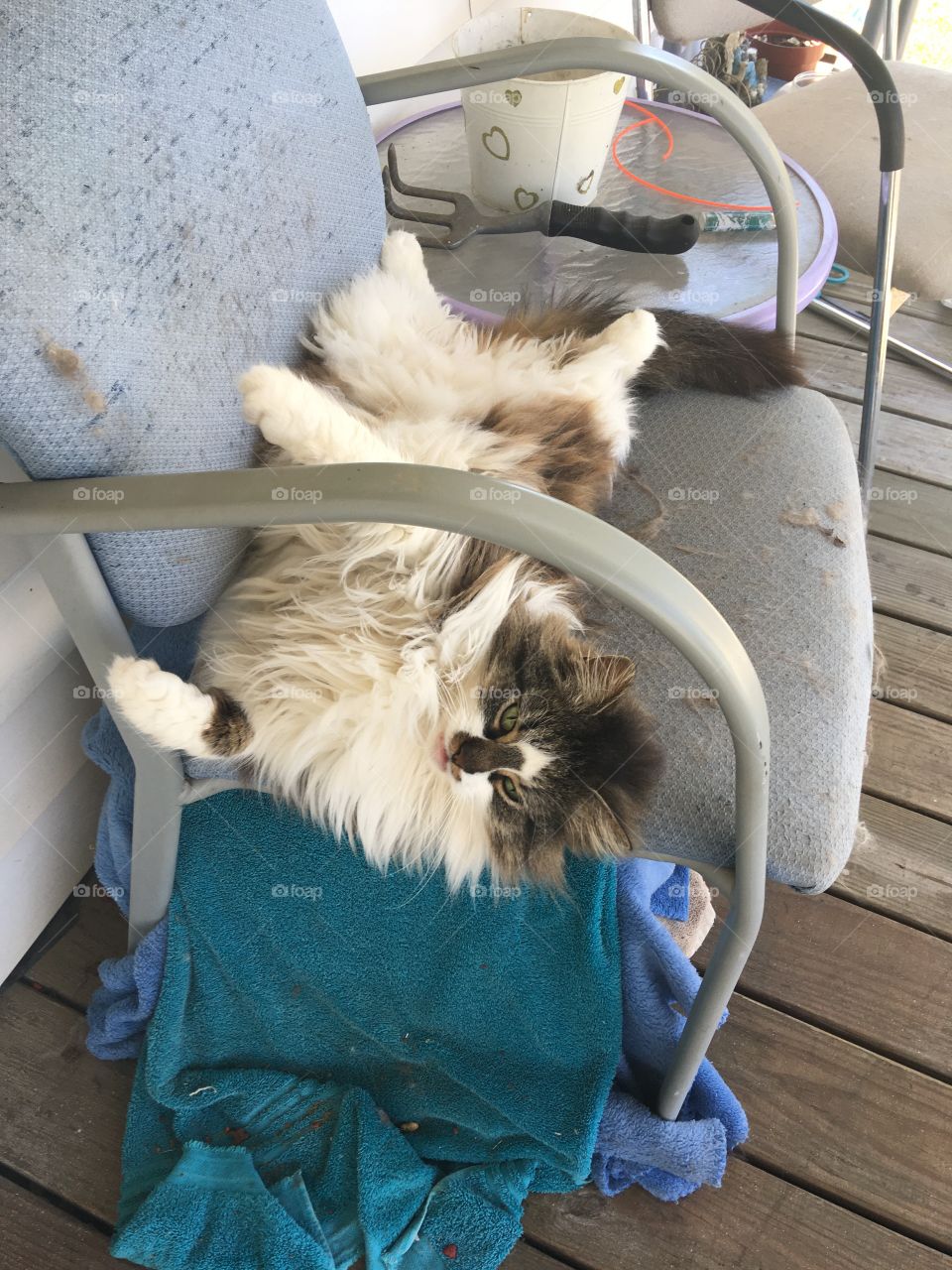 This is how you use up your quarantine time, Don’t worry God’s got this. Stay calm in the storm.