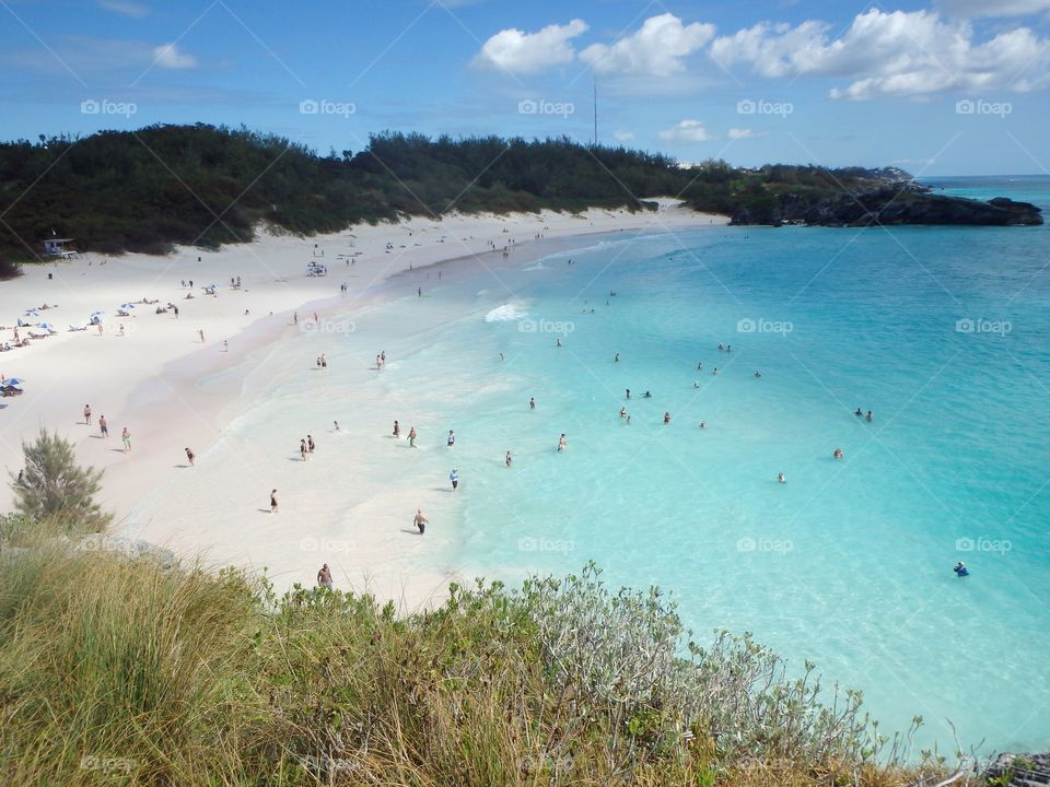 Horseshoe Bay Bermuda from Above
