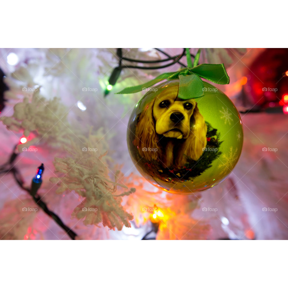 Dog Christmas ornament.