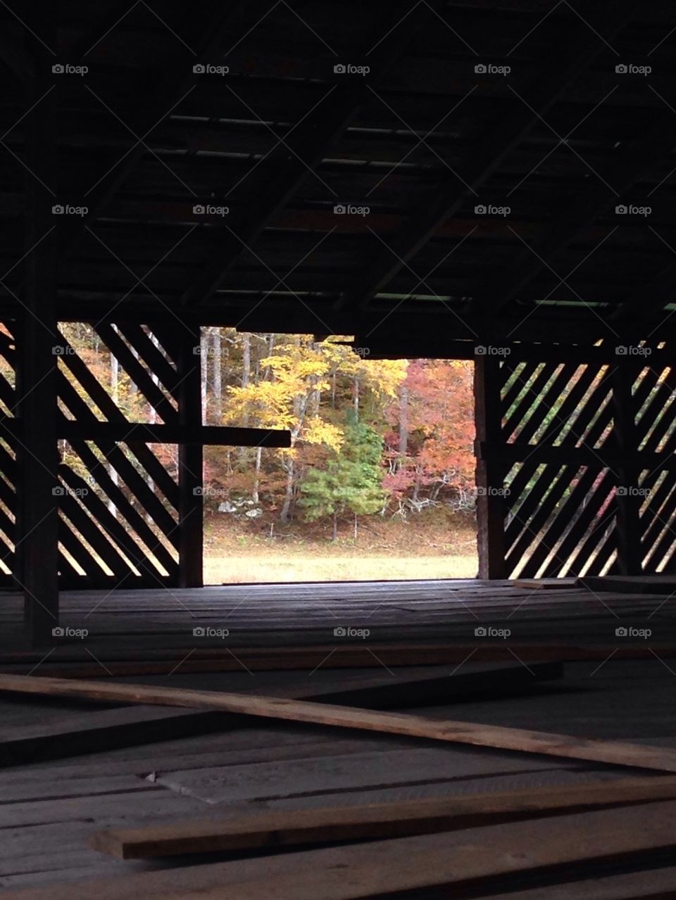 View From an Old Barn