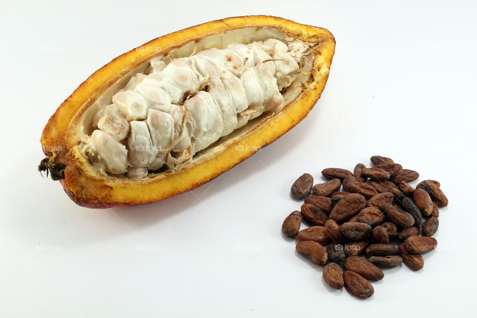 Cacao fruit and beans