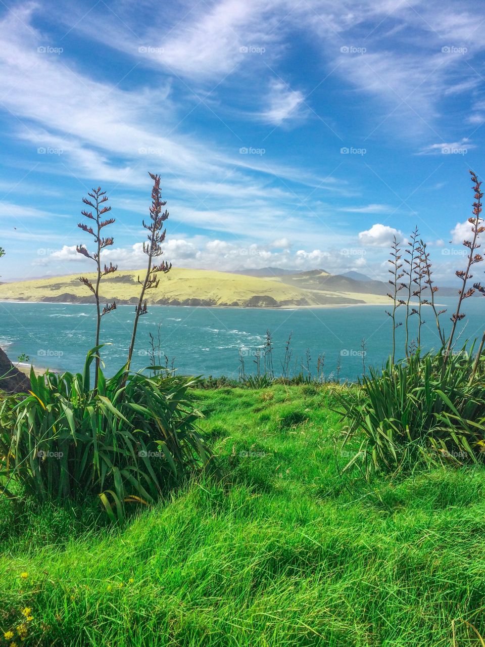 Beautiful New Zealand Landscape