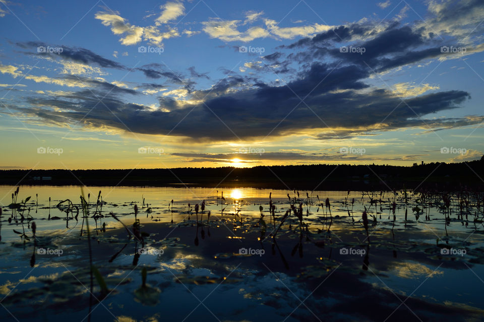 beautiful summer sunset