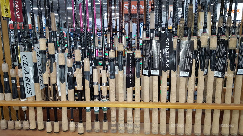 lines of fishing poles