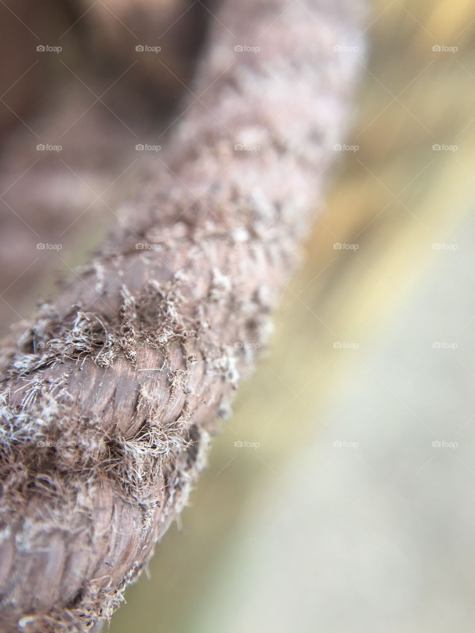 Macro of rope 