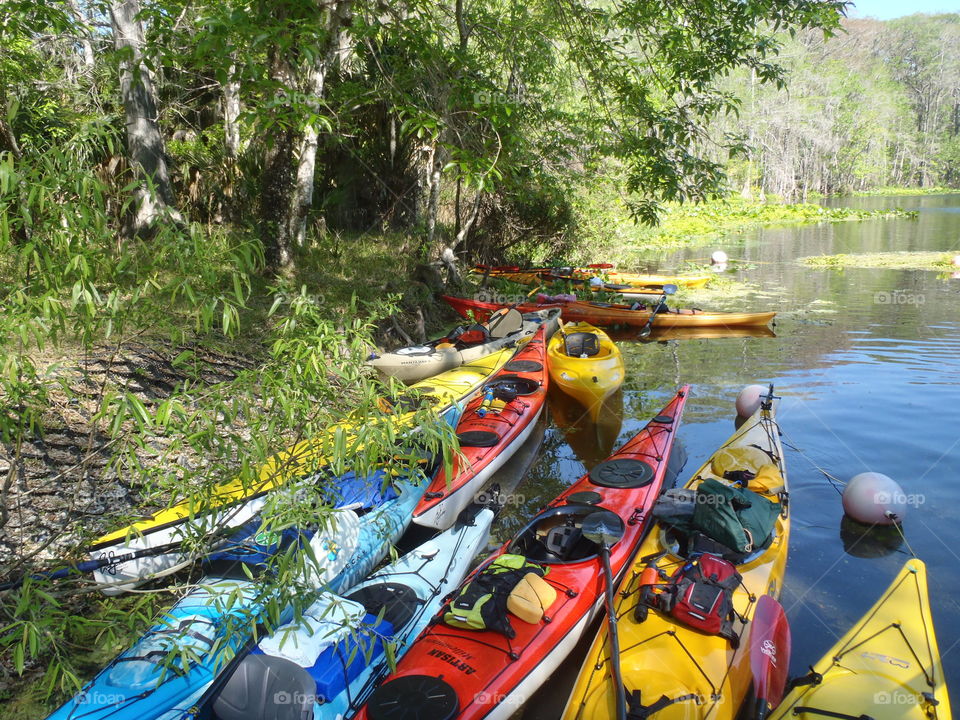 Colorful kayaks along the riverbank, Florida kayaking
