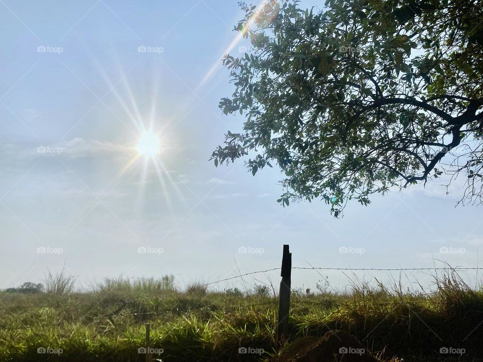 🌄🇺🇸 An extremely beautiful dawn in Jundiaí, interior of Brazil. Cheer the nature! / 🇧🇷 Um amanhecer extremamente bonito em Jundiaí, interior do Brasil. Viva a natureza! 
