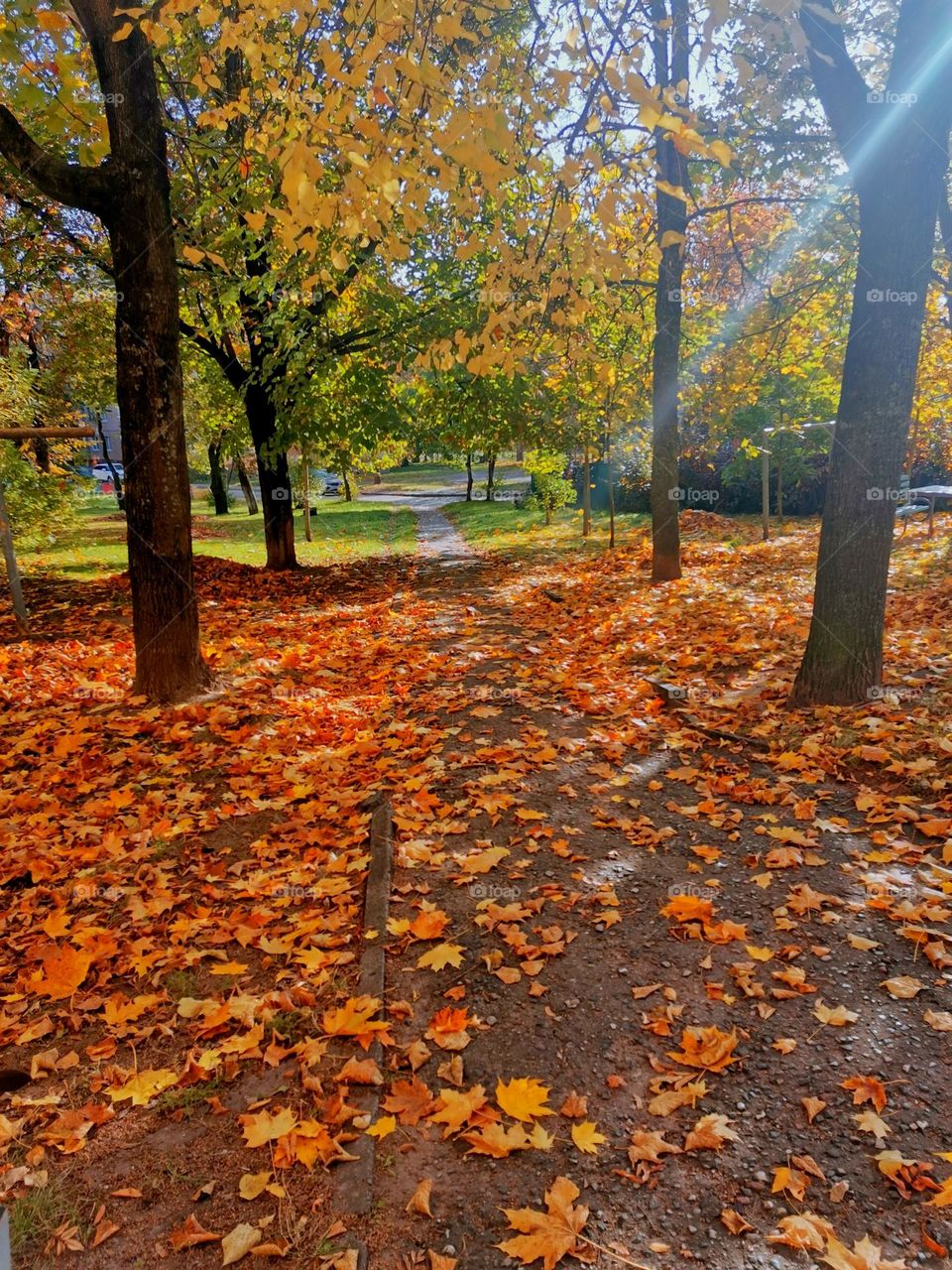 Autumn Park @milana_photo2020