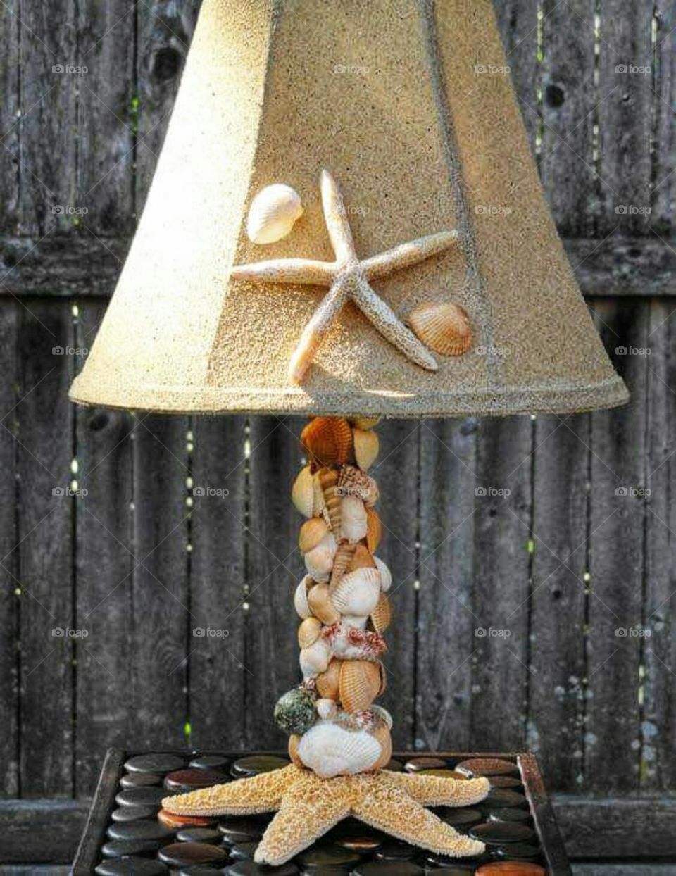 table lamp  Sea Shells