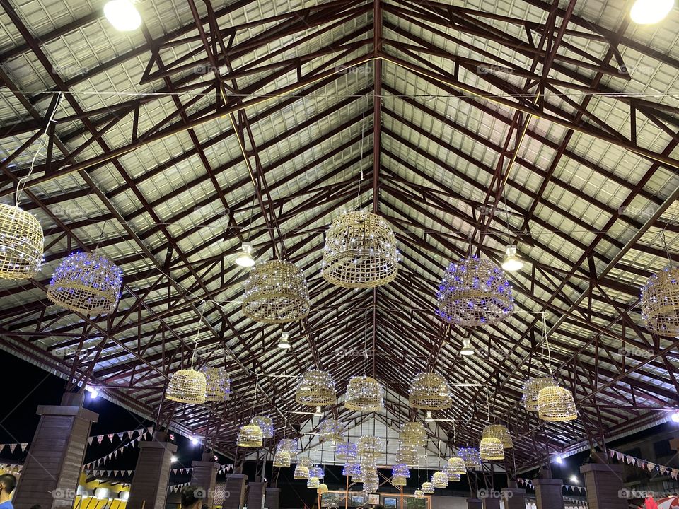 Chicken lights, beautiful lights