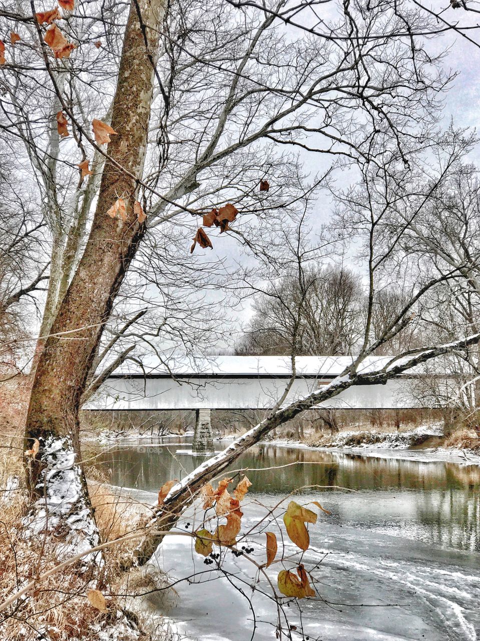 Beautiful views in winter. 