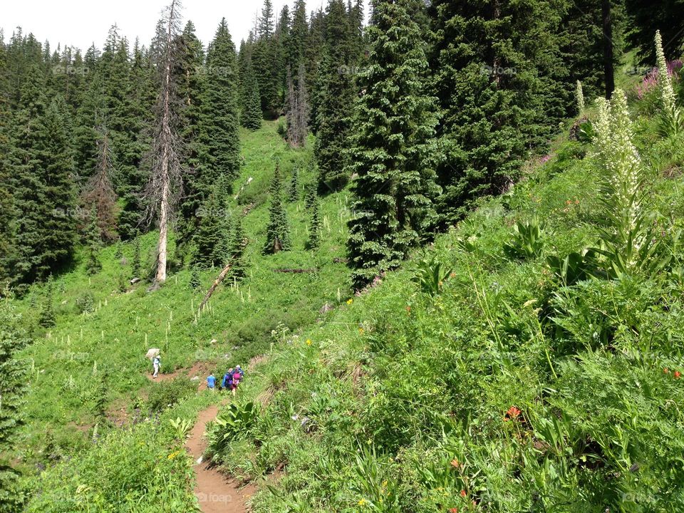 Hiking the mountain trail 