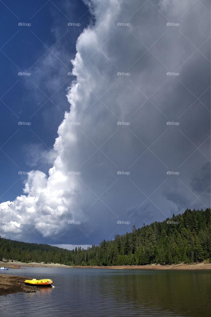 Forest trees reflected on lake