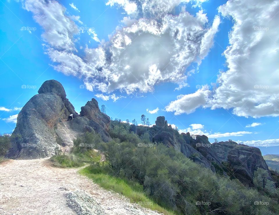 Pinnacles National Park