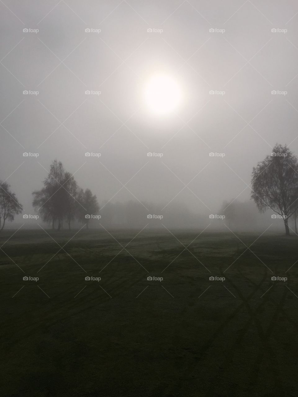 Fog, Landscape, Dawn, Mist, Sunset