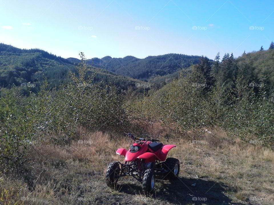 Logging Road Trip. The quad we rode on during our summer adventures.