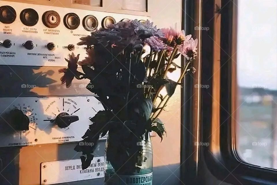 A very beautiful picture, and there is no better picture than it. There is no better picture of green herbs and colorful, red and white roses than it. Glory be to God, the natural and picturesque view, and there is no more wonderful picture than it.