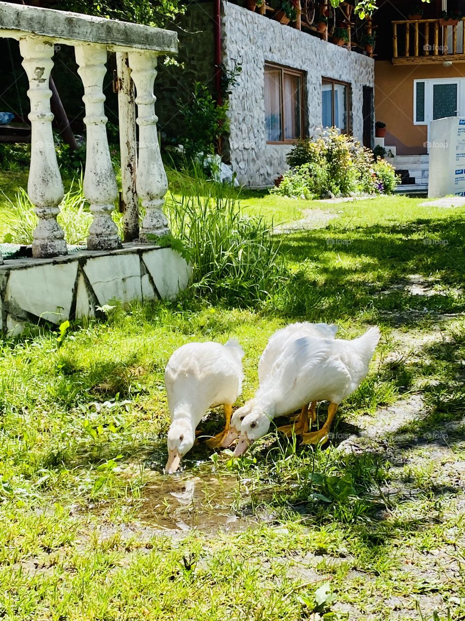 Let’s drink some water 