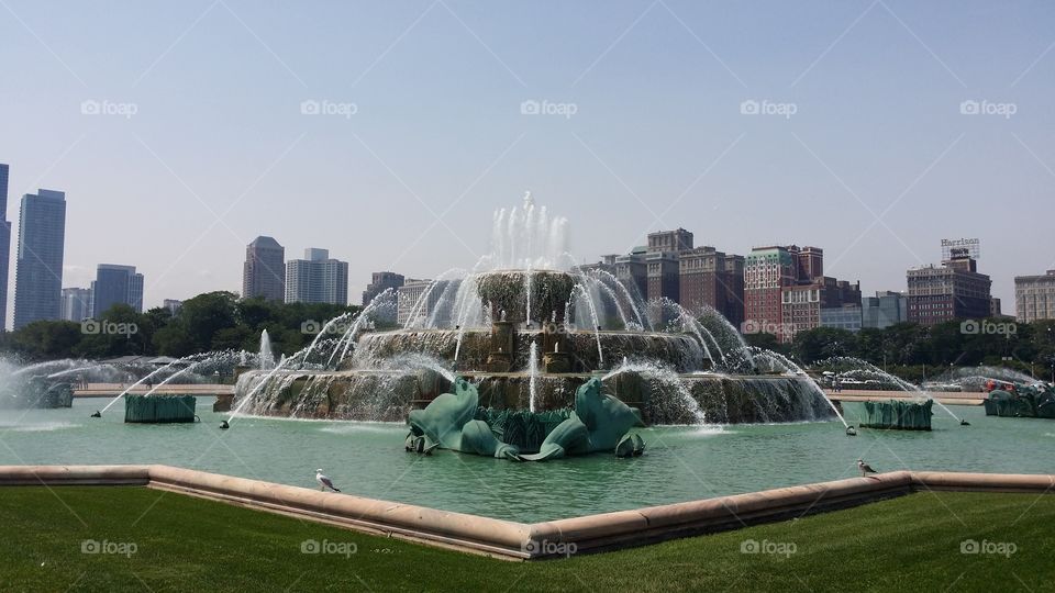Chicago fountain 