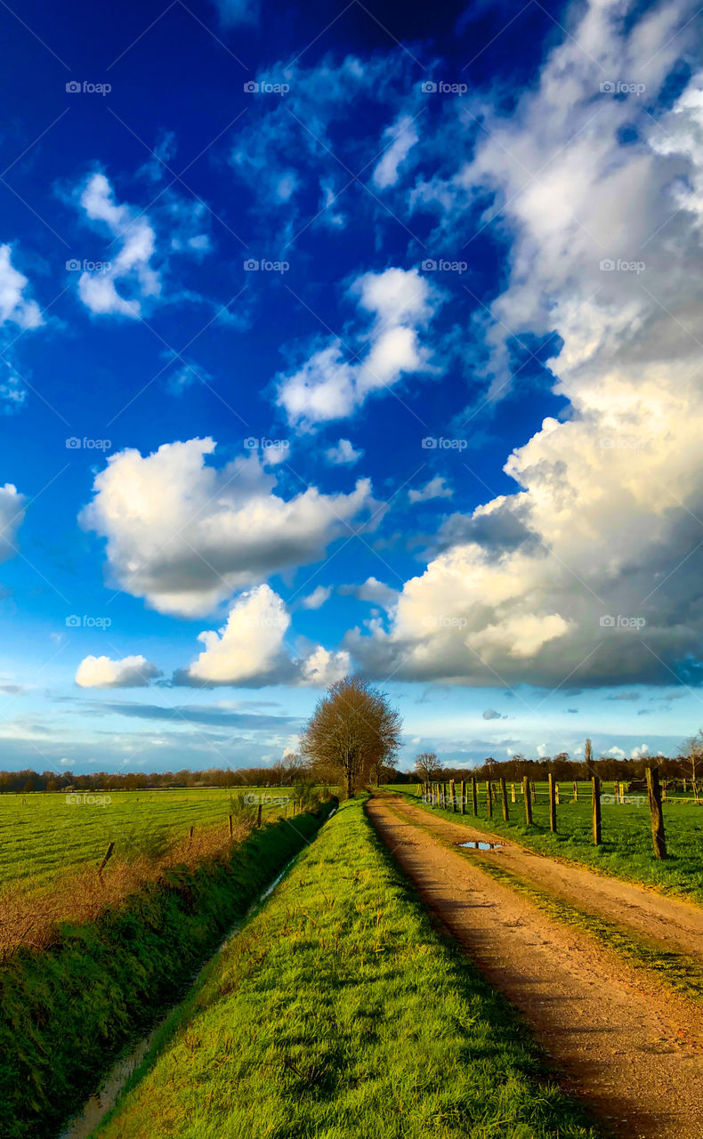 Blue sky with white clouds over a dirtroad between the green grass farmfields