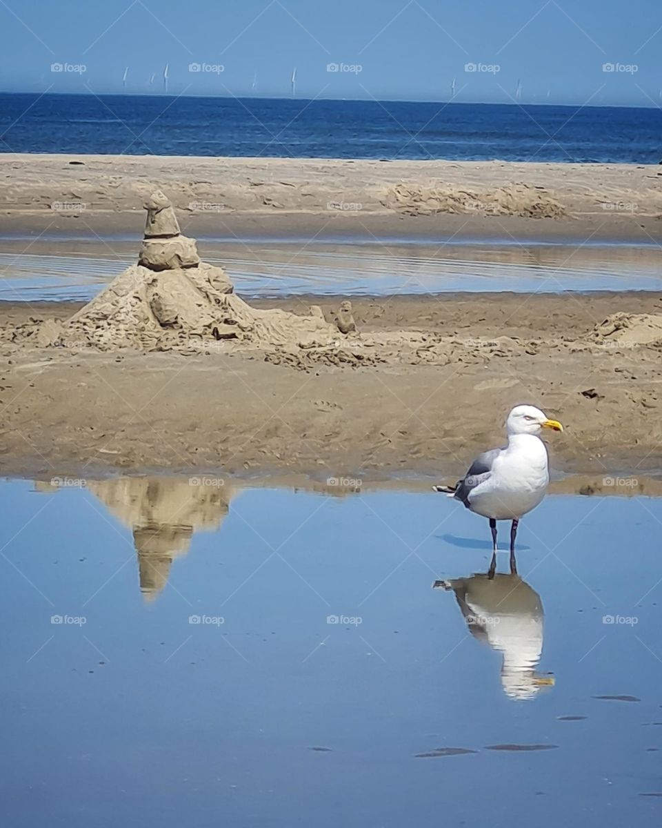 Peace view on the sea