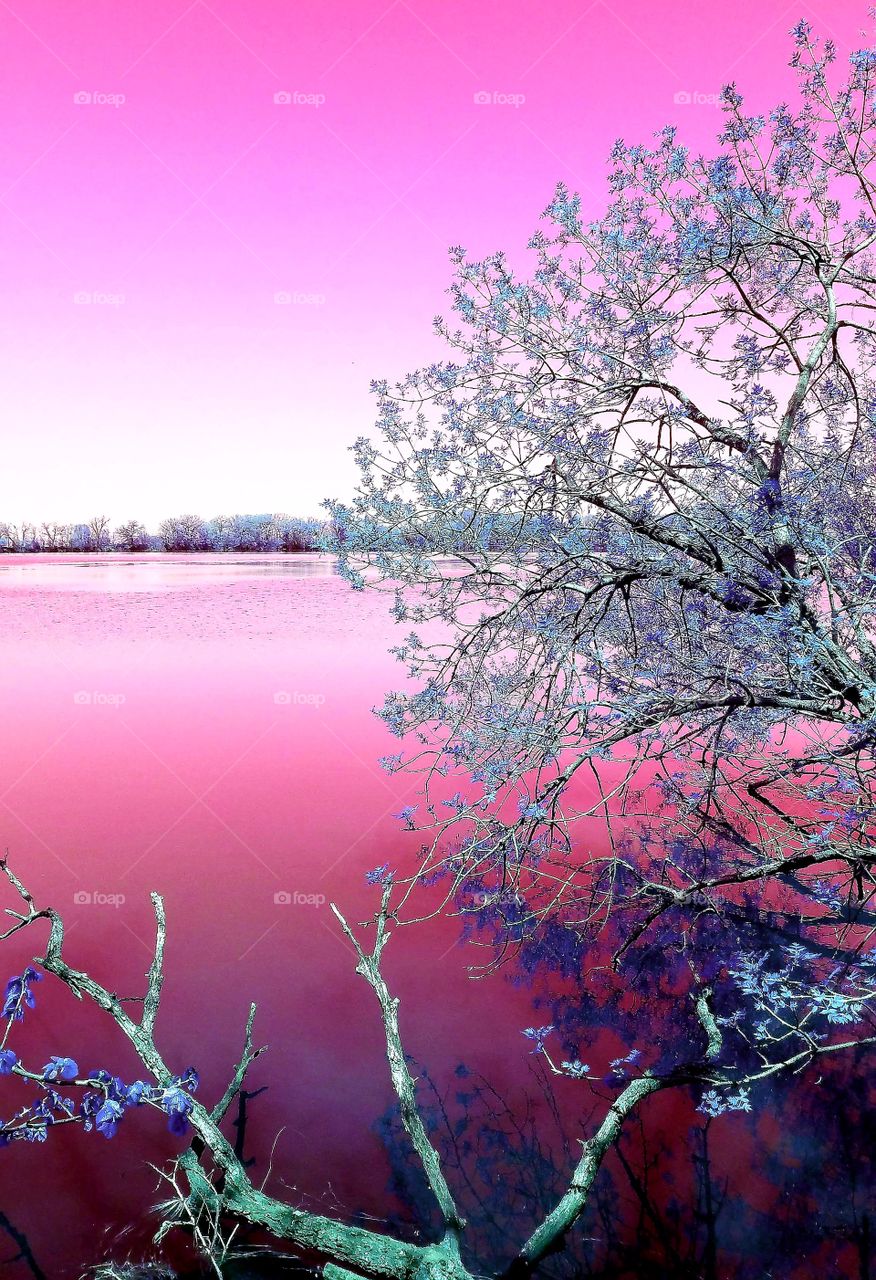 beautiful colorful trees and lake
