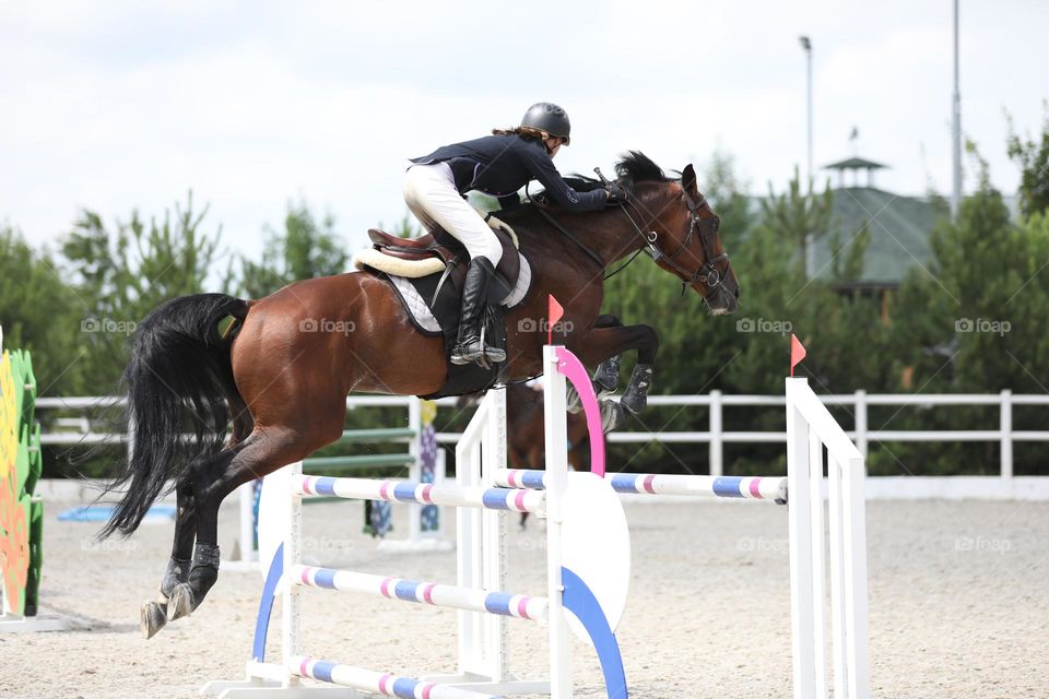Horse and rider jumping on show jumping competition