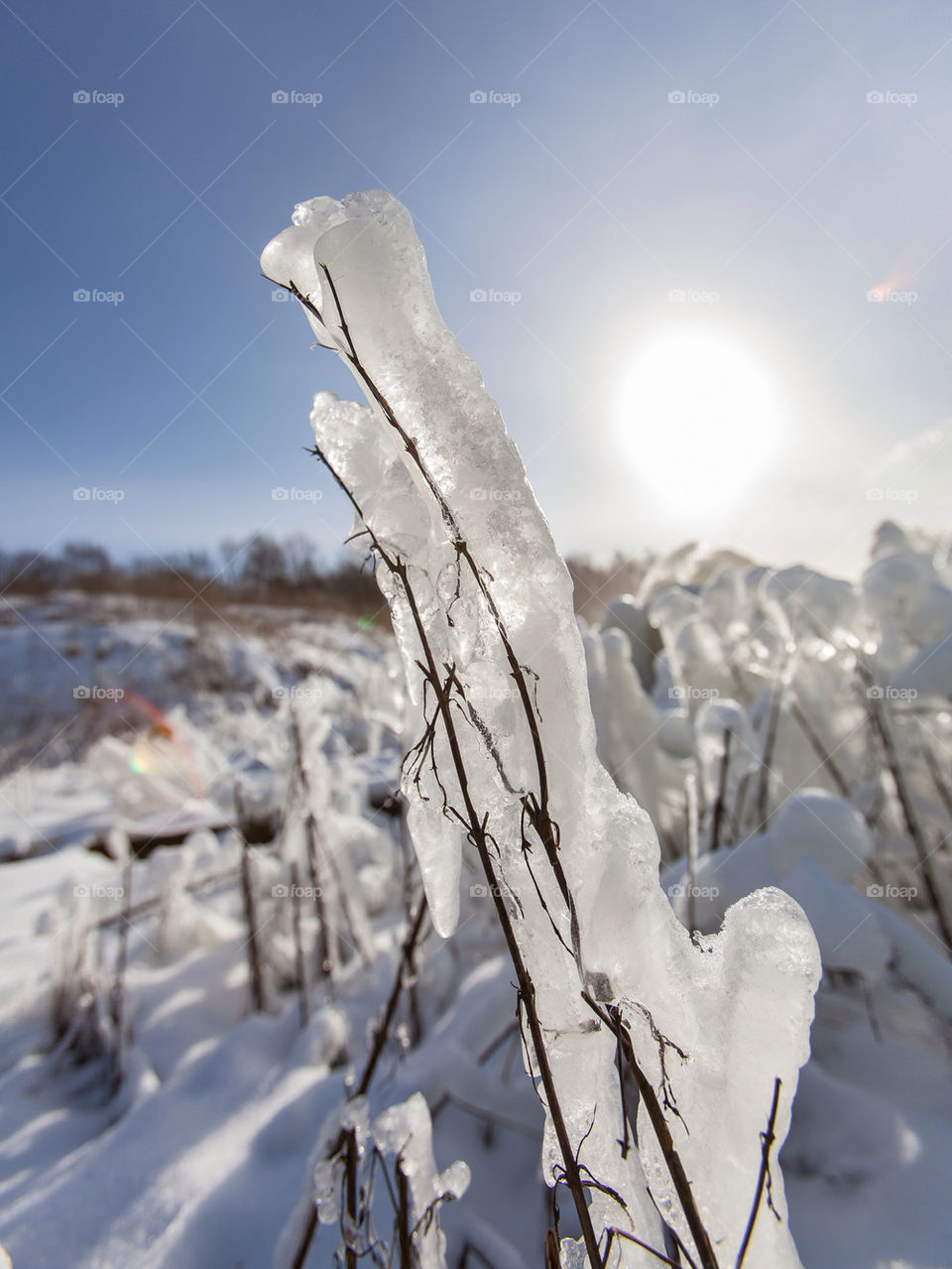 snow winter sweden sun by dinopapa