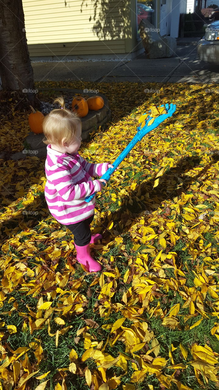 learning to rake leaves