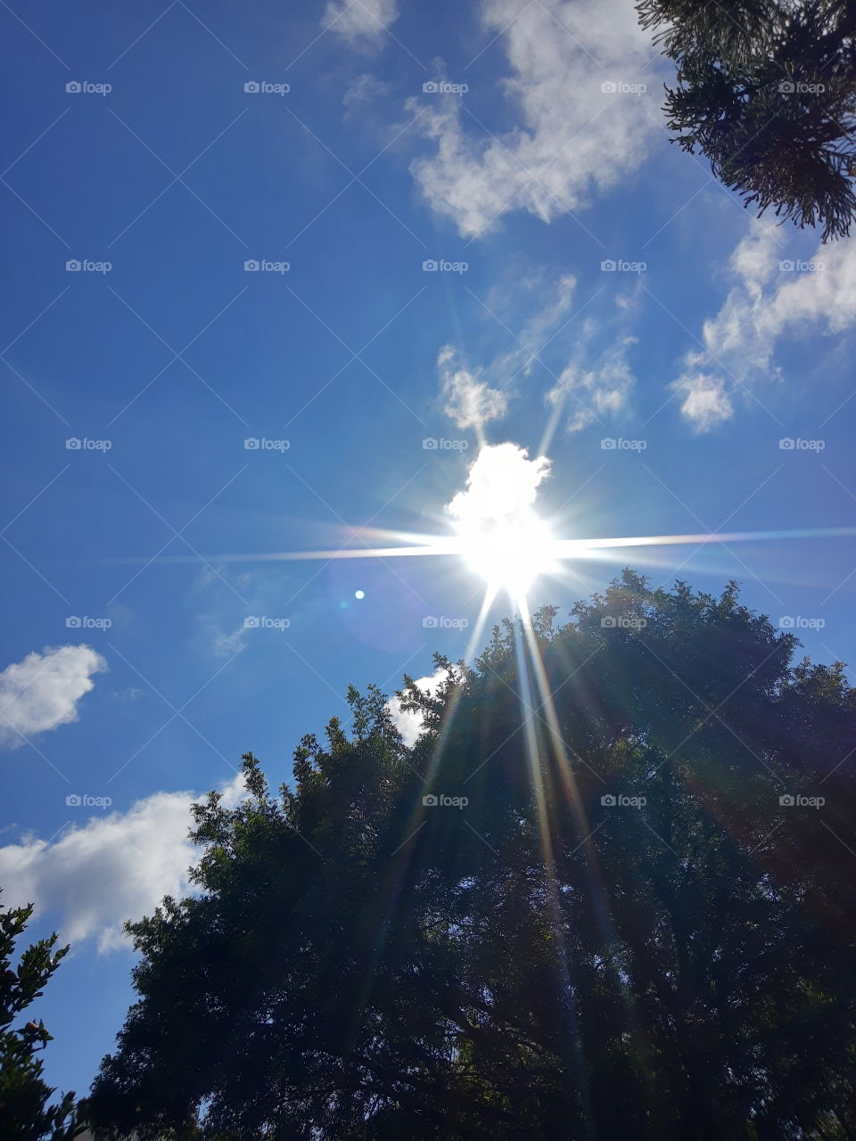 sunshine in the blue sky