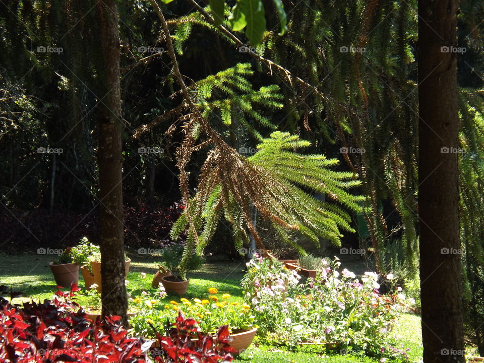 1st theme garden park in Brazil