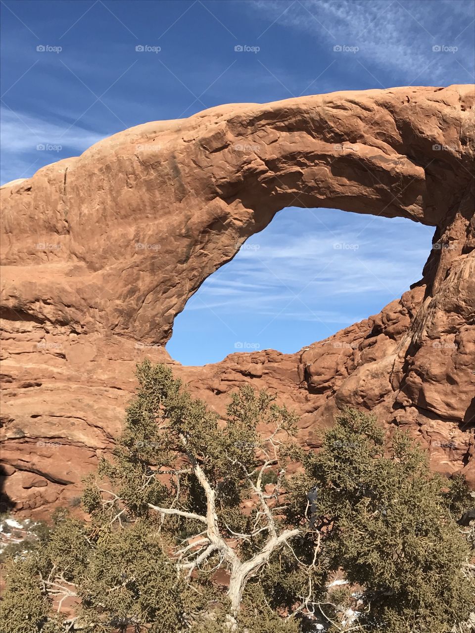 Arch at arches National park