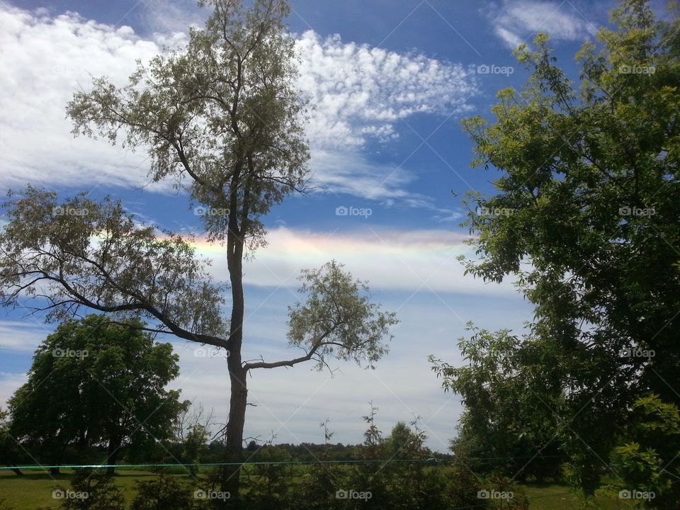 utopia. took picture of rainbow in sky in my backyard