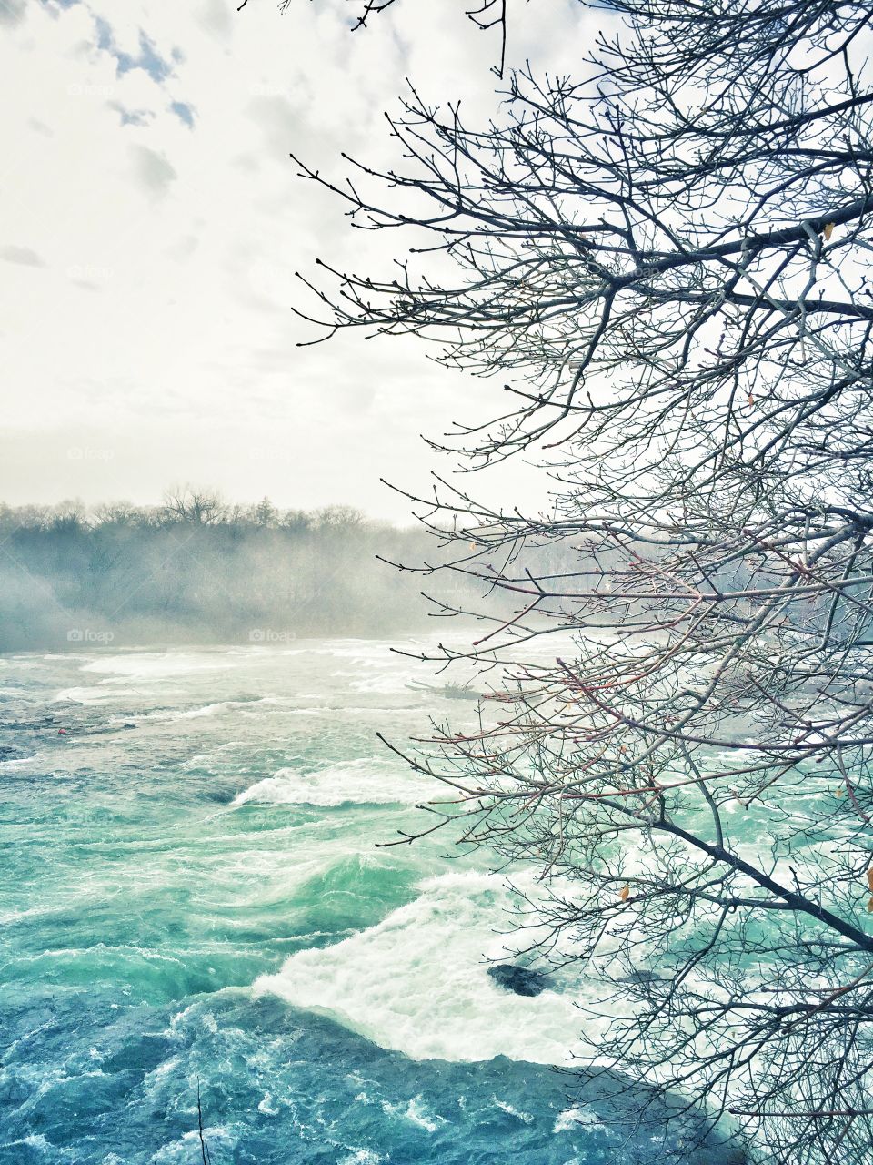 Niagara Falls 