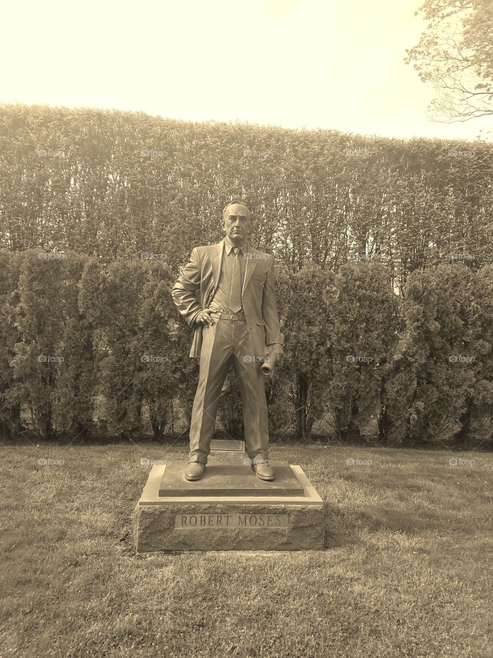 People, One, Adult, Man, Wear